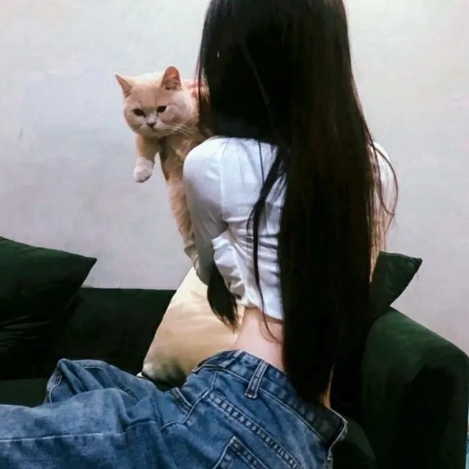 猪皮天堂