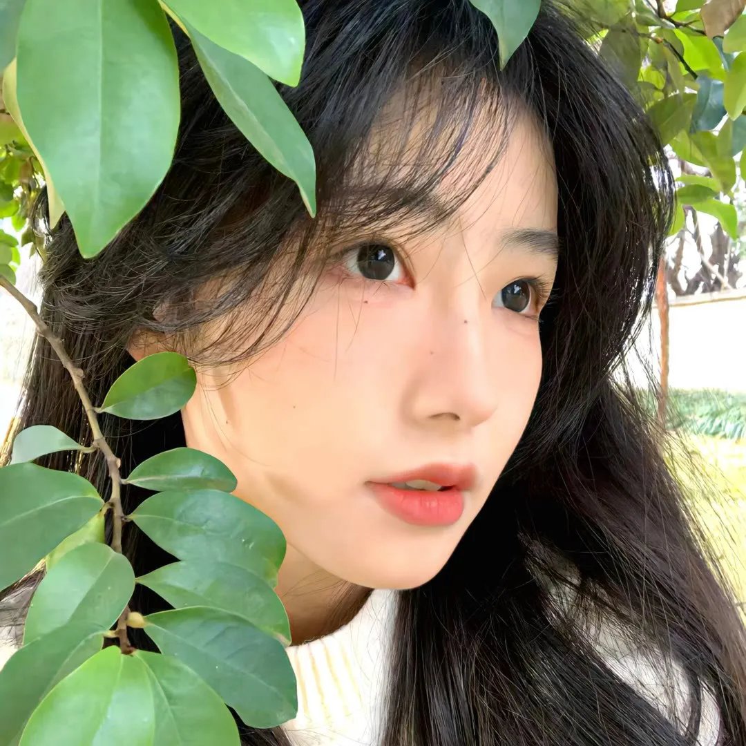 我们曾经爱过的一切