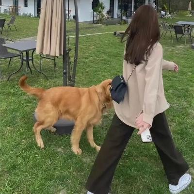 尘埃的女儿